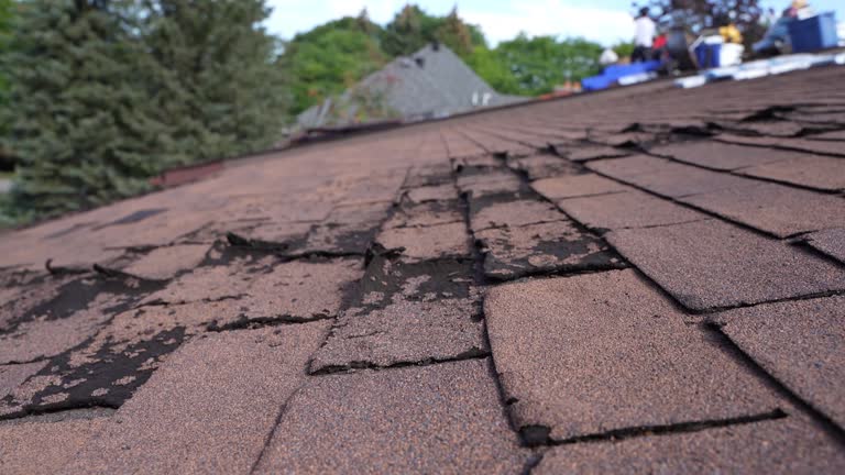 Best Storm Damage Roof Repair  in Westmont, IL