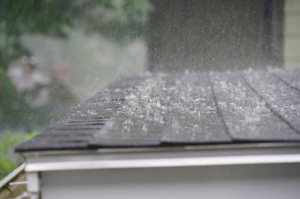Best Roof Coating and Sealing  in Westmont, IL