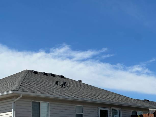 Best Roof Waterproofing  in Westmont, IL